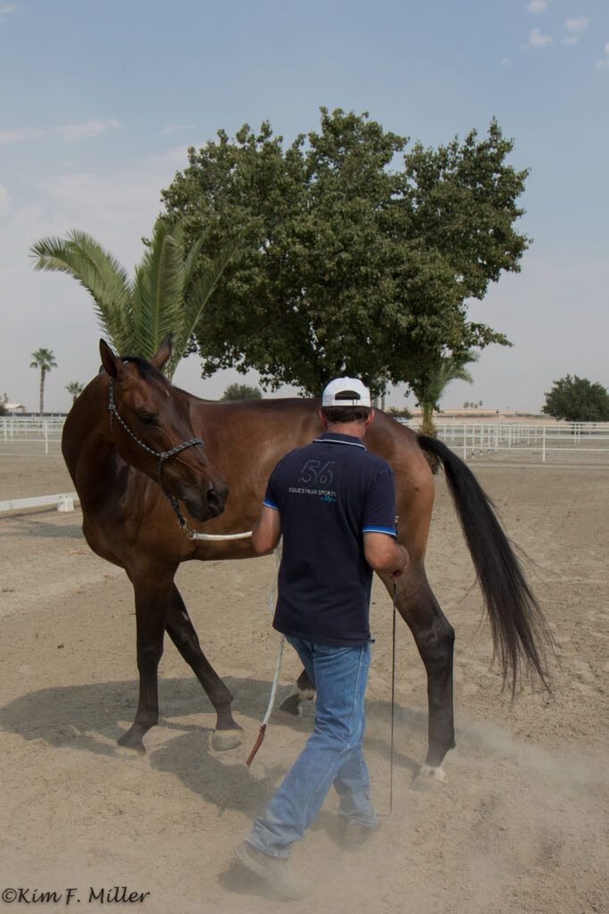 Ground manners