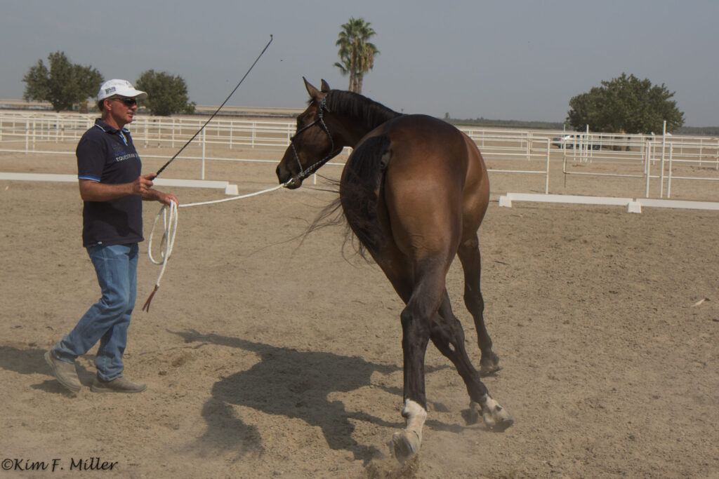 ground manners