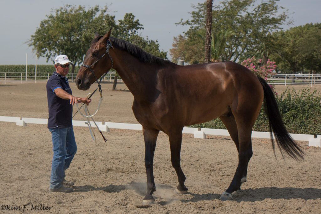 ground manners