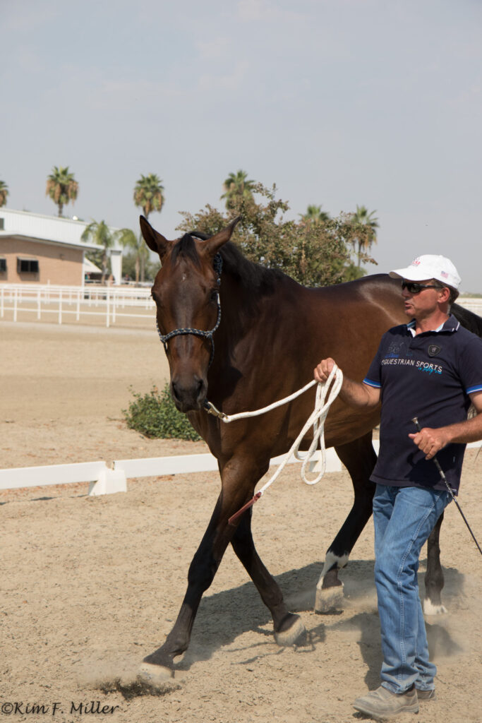 ground manners