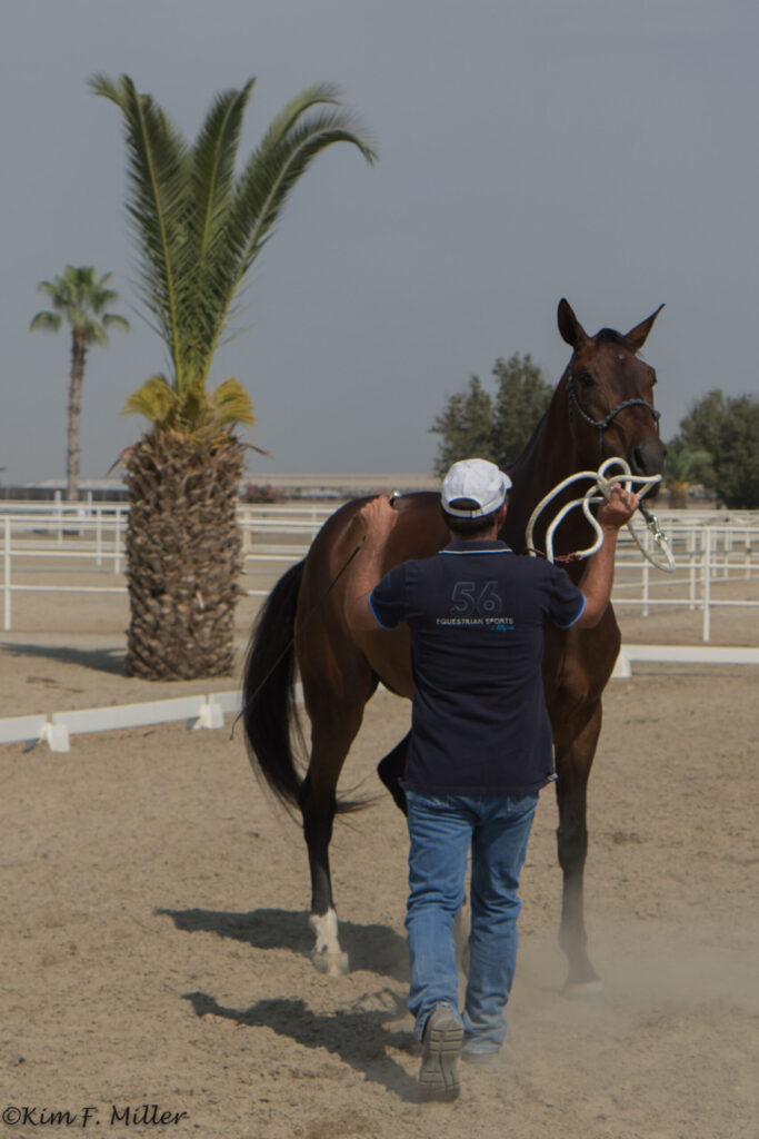 ground manners