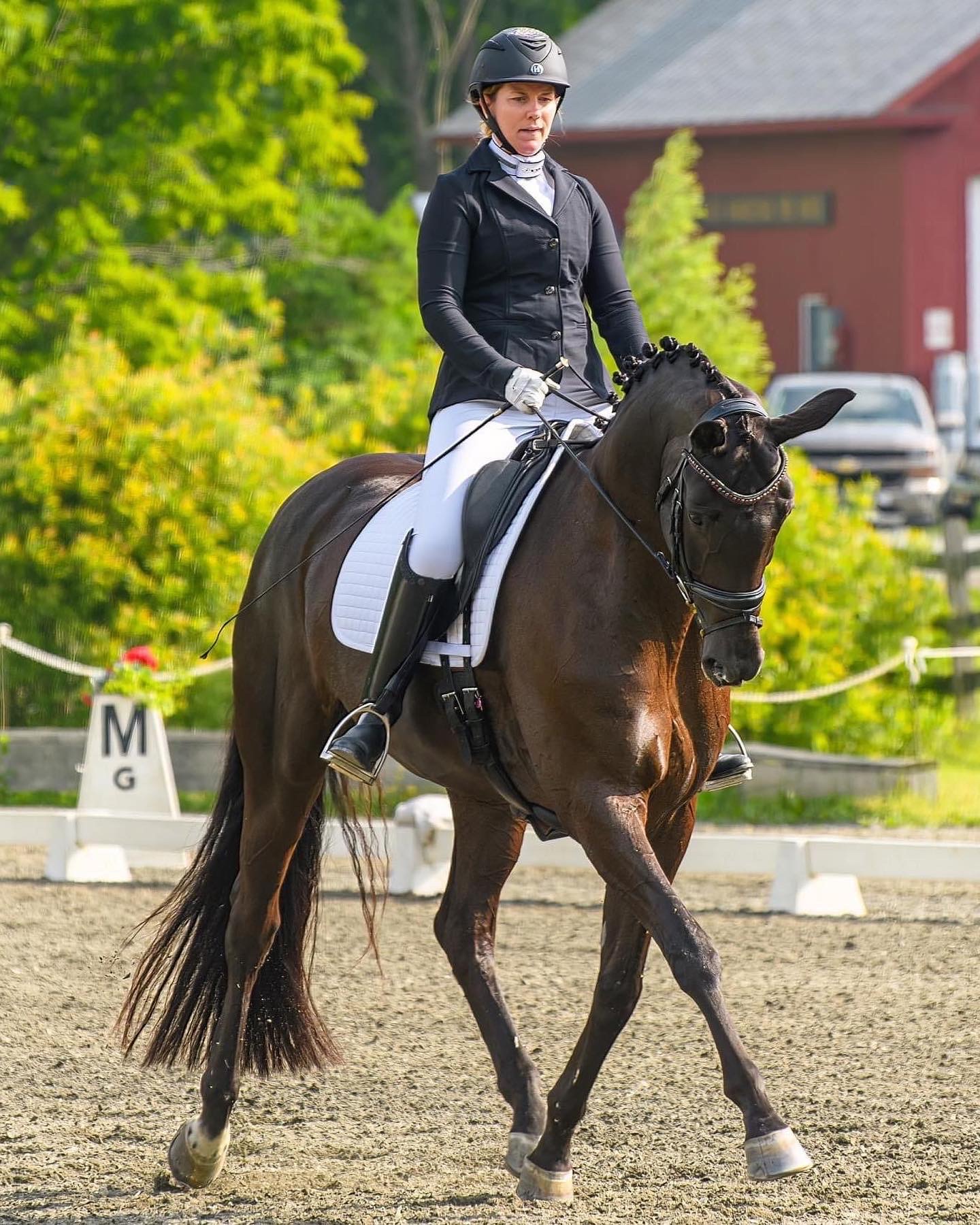 Lower Body Dressage Exercises