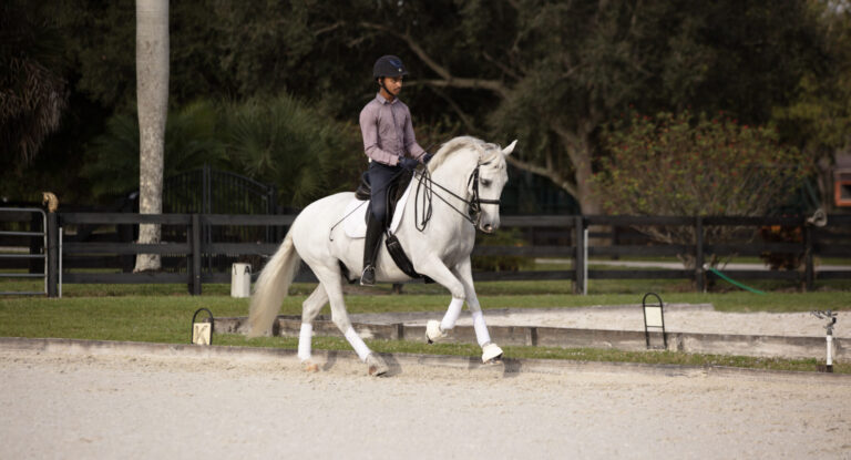3A_Canter_0V6A9301 copy