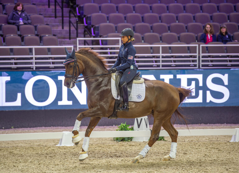 DressageVitE_5 copy