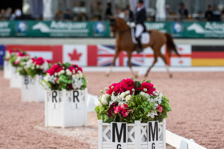 GERMichael KlimkeHarmony's Royal Dancer
