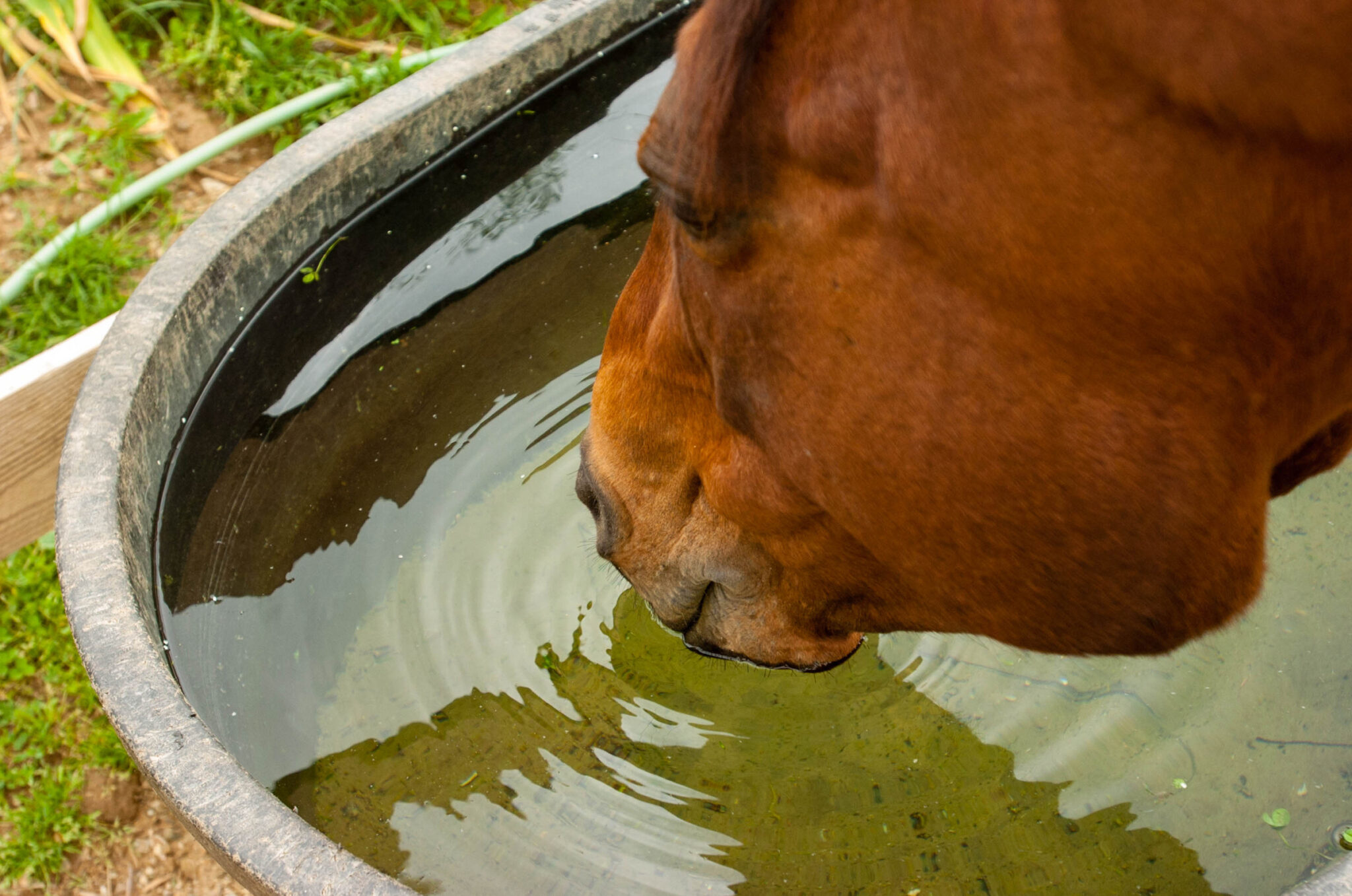 Drinking_2-scaled