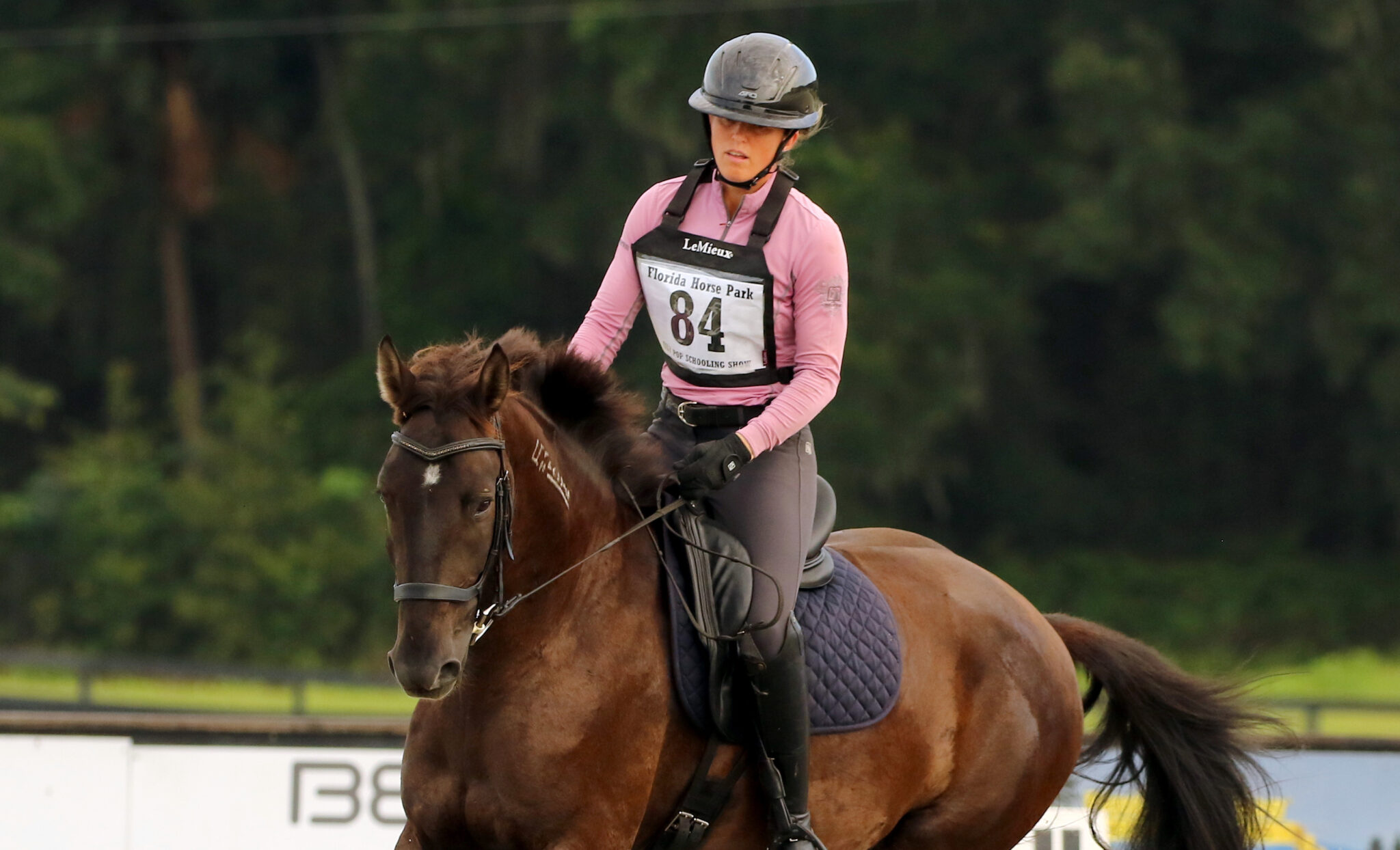 ElisaDressage_3-scaled
