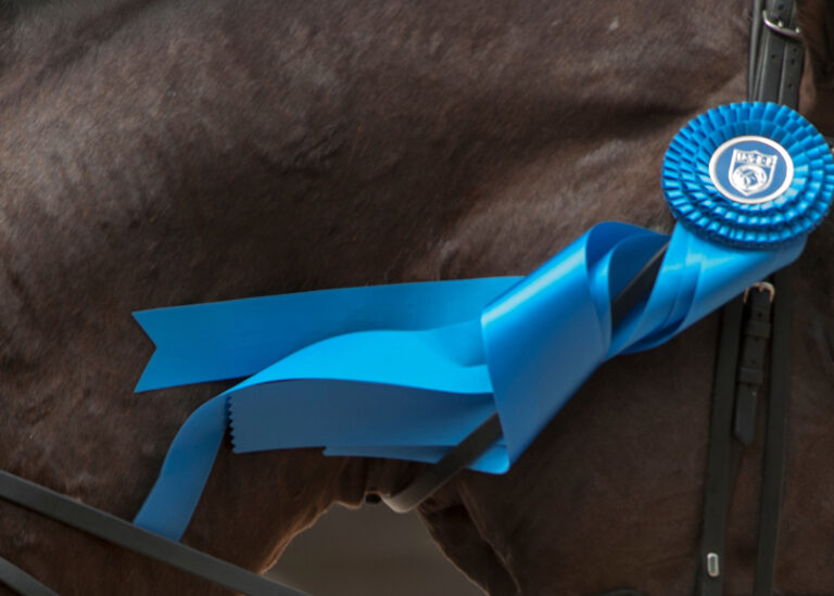 Budget_DressageRibbon2-copy