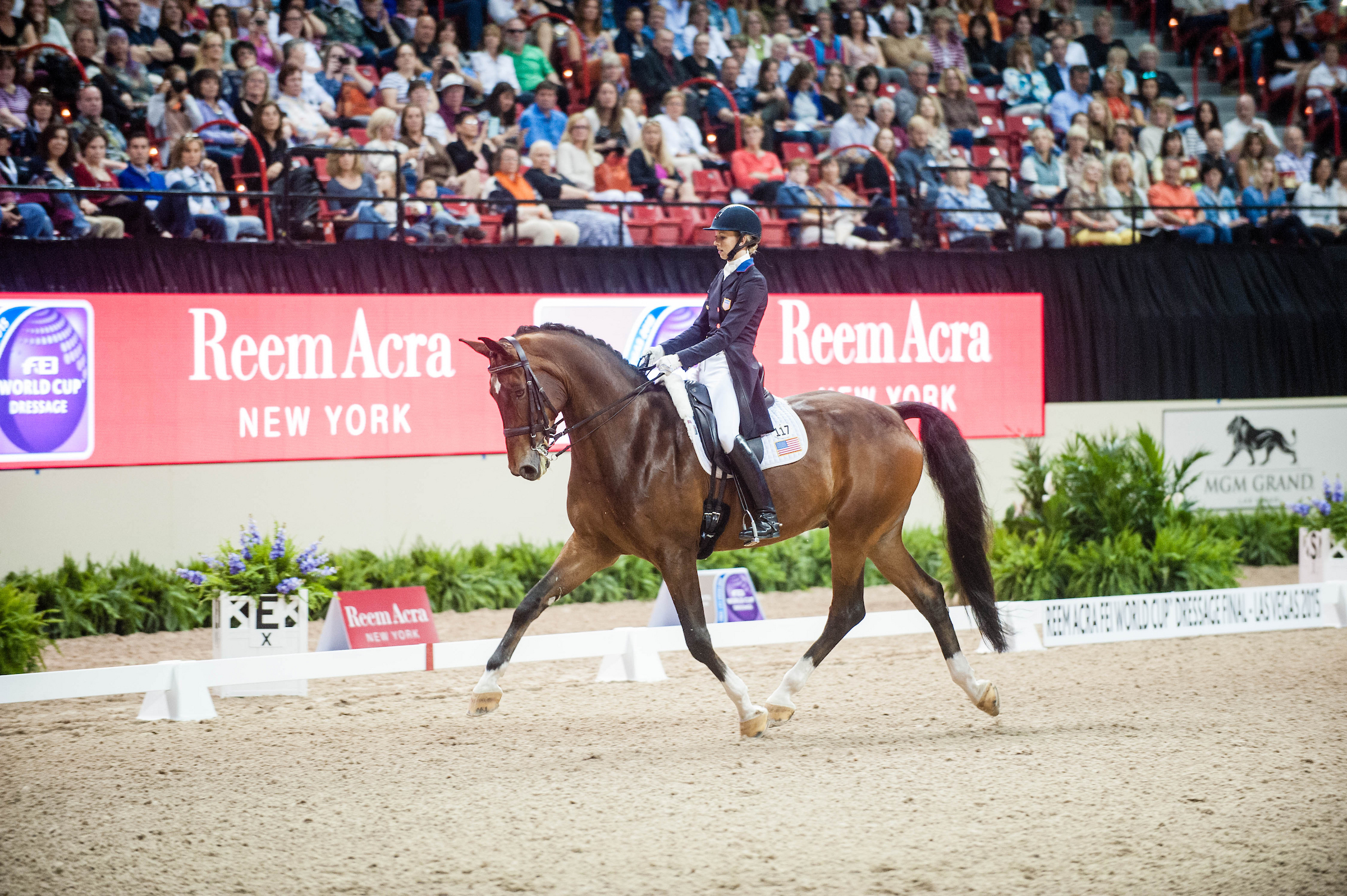 Trot_4