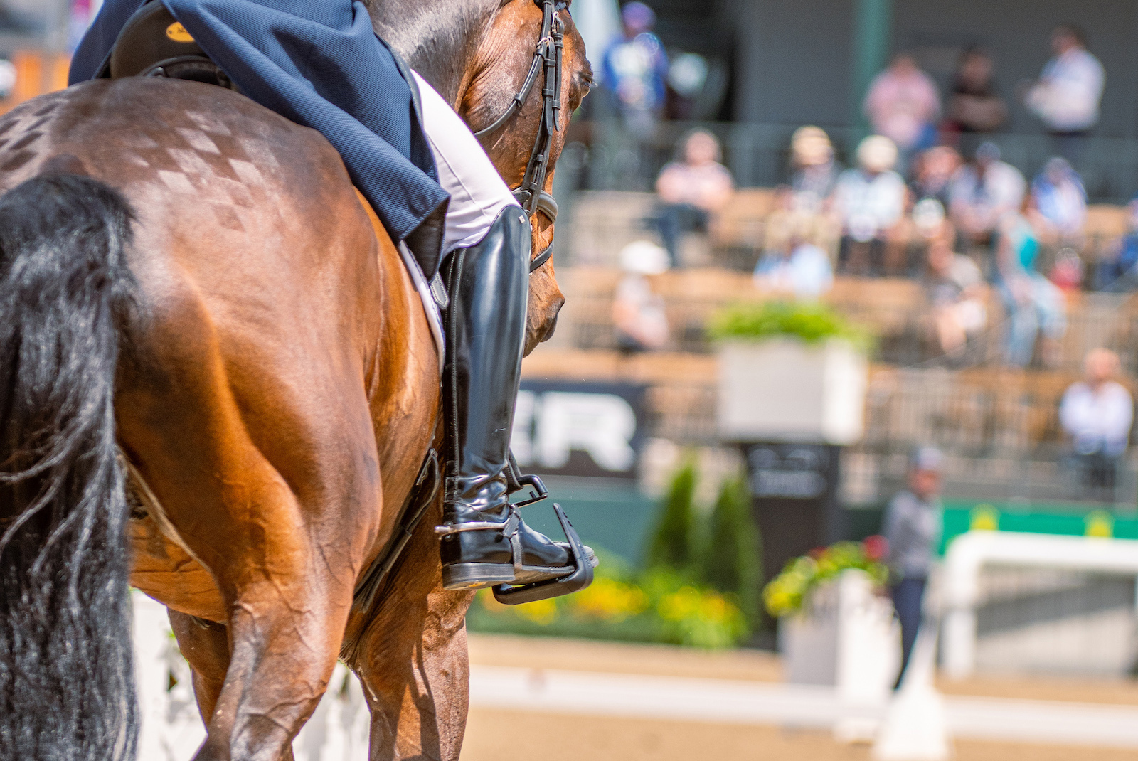 Dressage_SafetyStirrup_2-copy