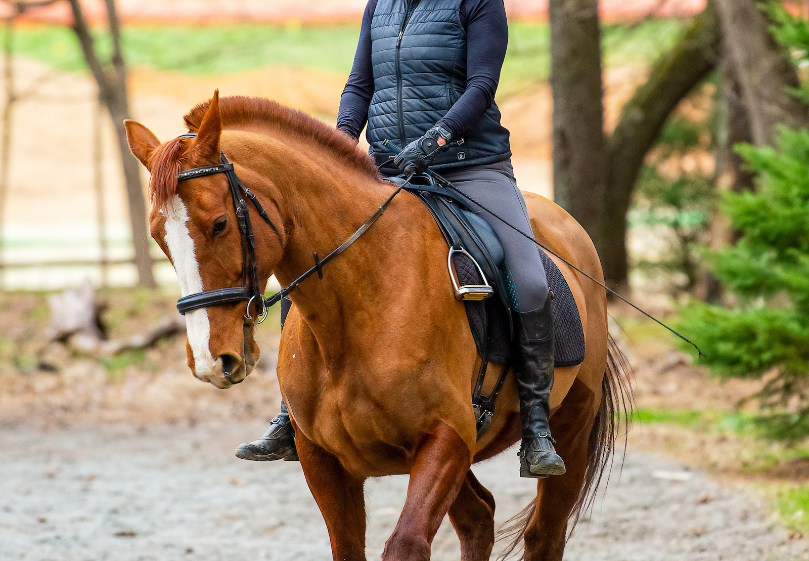 Axel_NoStirrups_TN-copy