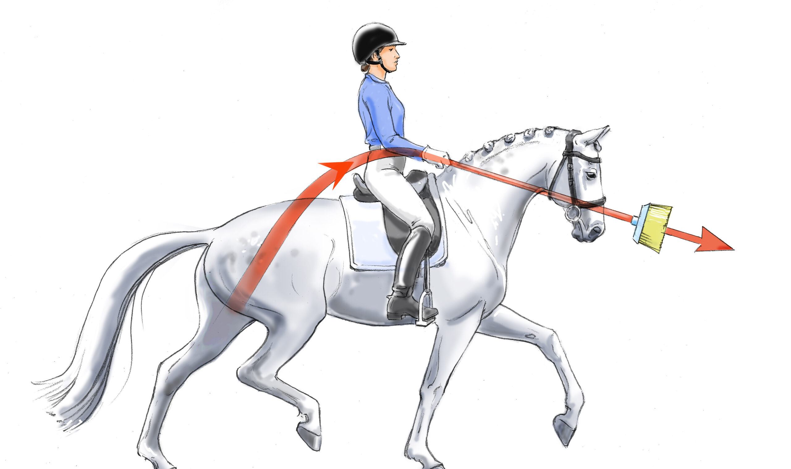 Broom-Stick-Solutions-3copy-scaled