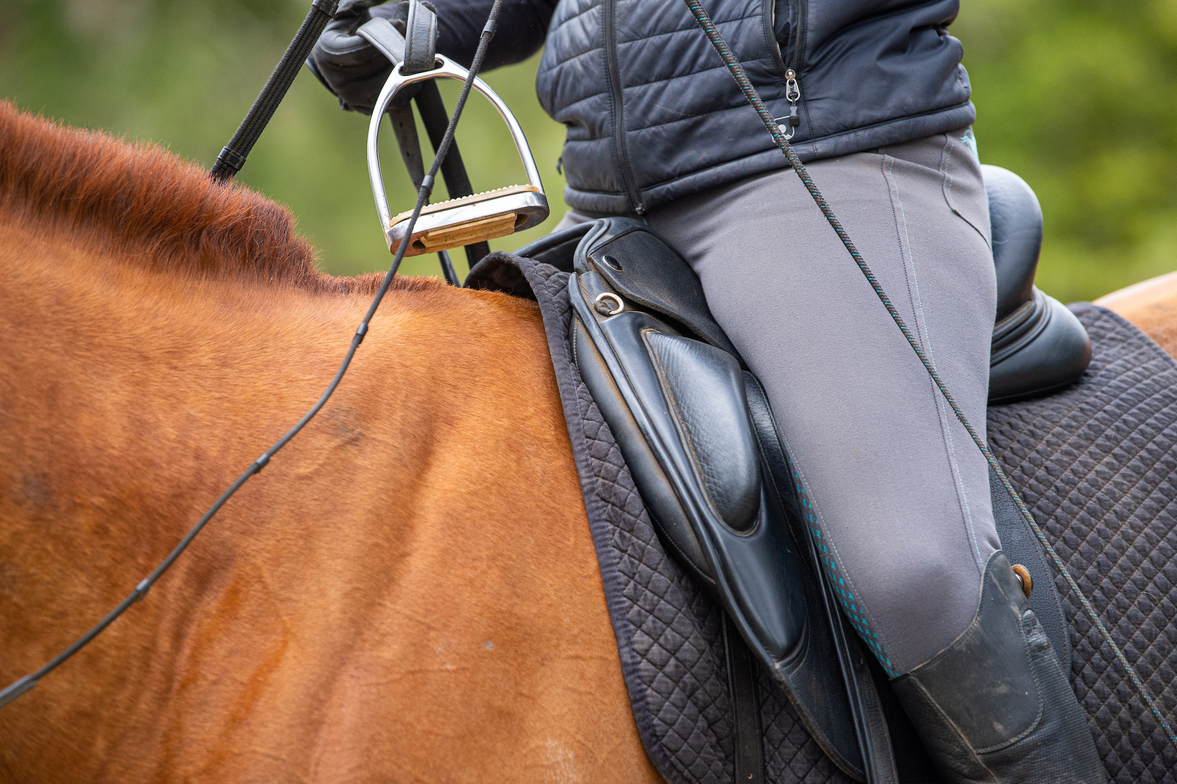 NoStirrup_1
