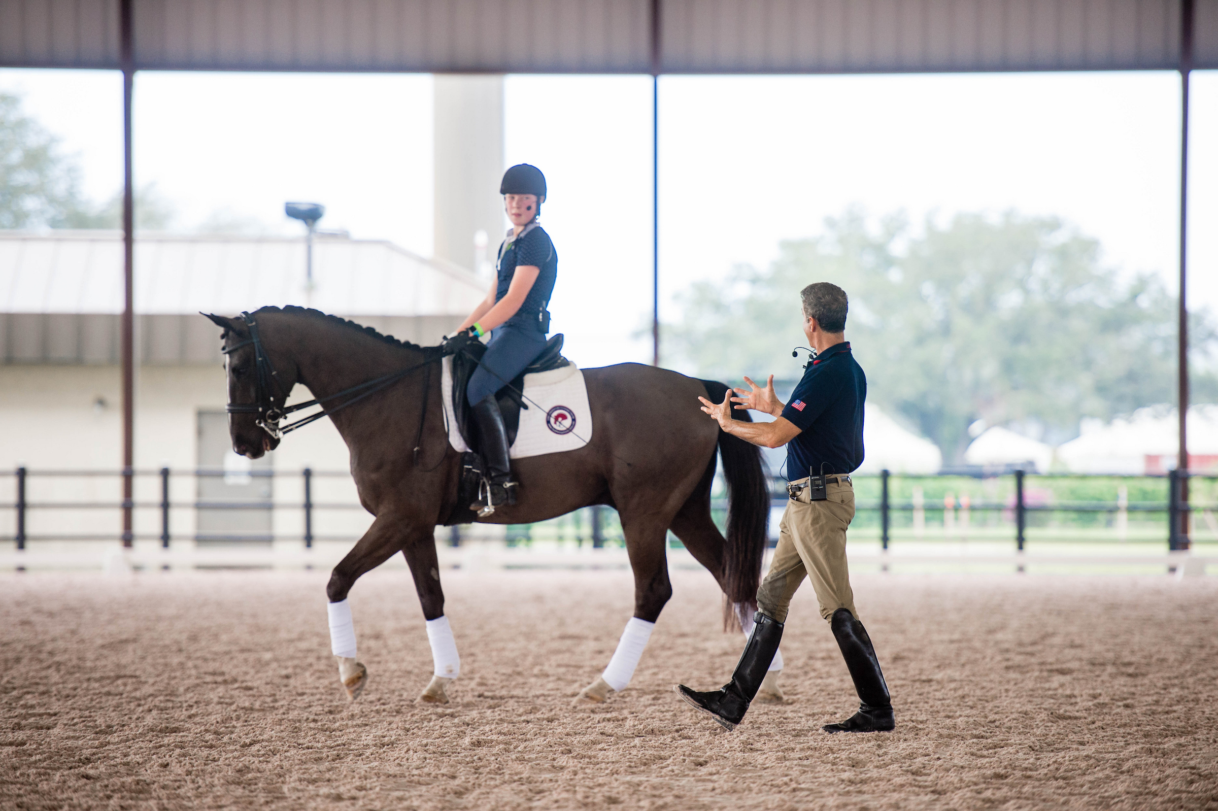 DressageVertical_TN_2