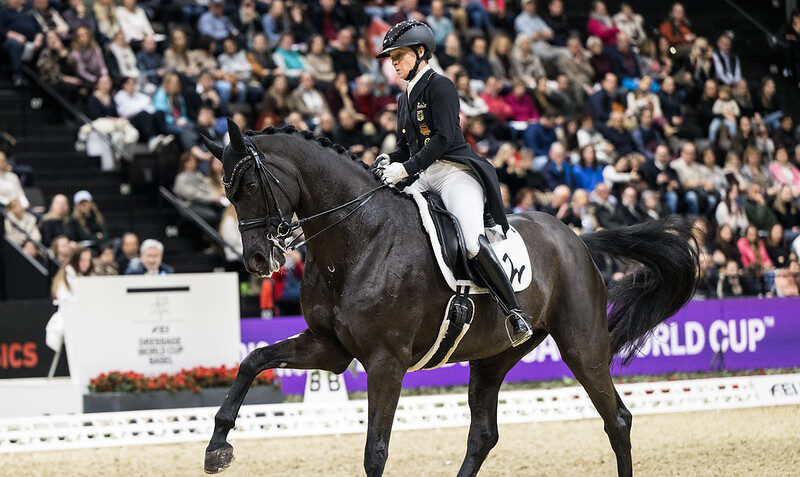 55033913113_9f109a33c7_c-1-e1768251338663