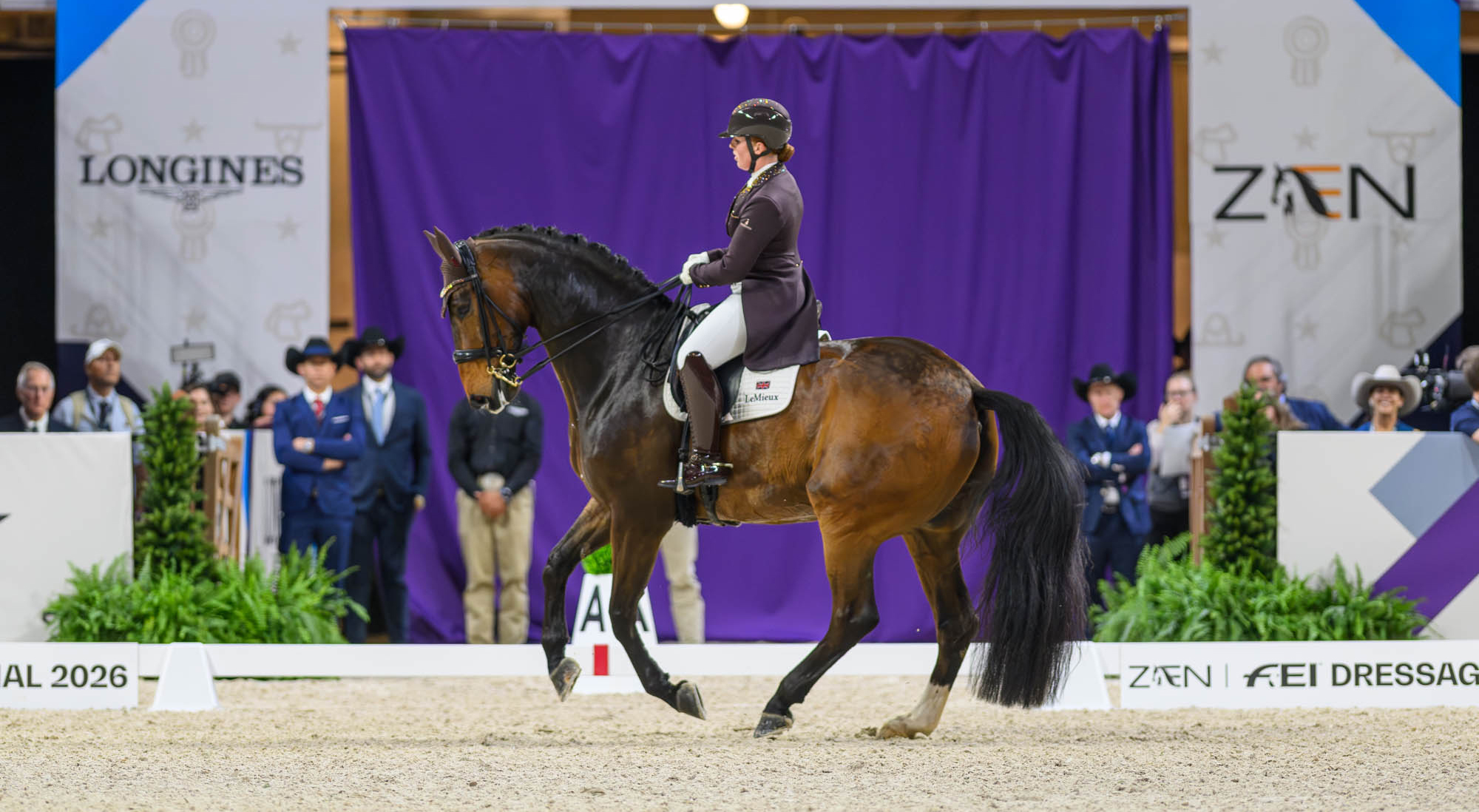 In Living Color: Special Moments from the 2026 Dressage World Cup