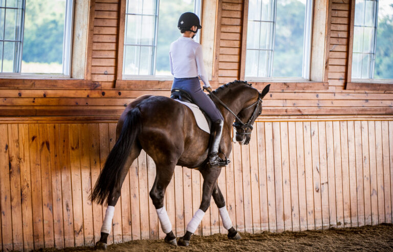 Hannah SalazarSolija GirlHanoverian