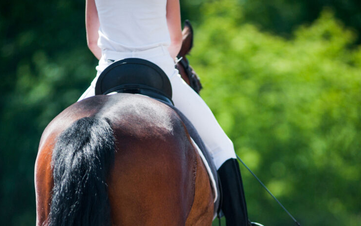 back view of rider on a horse