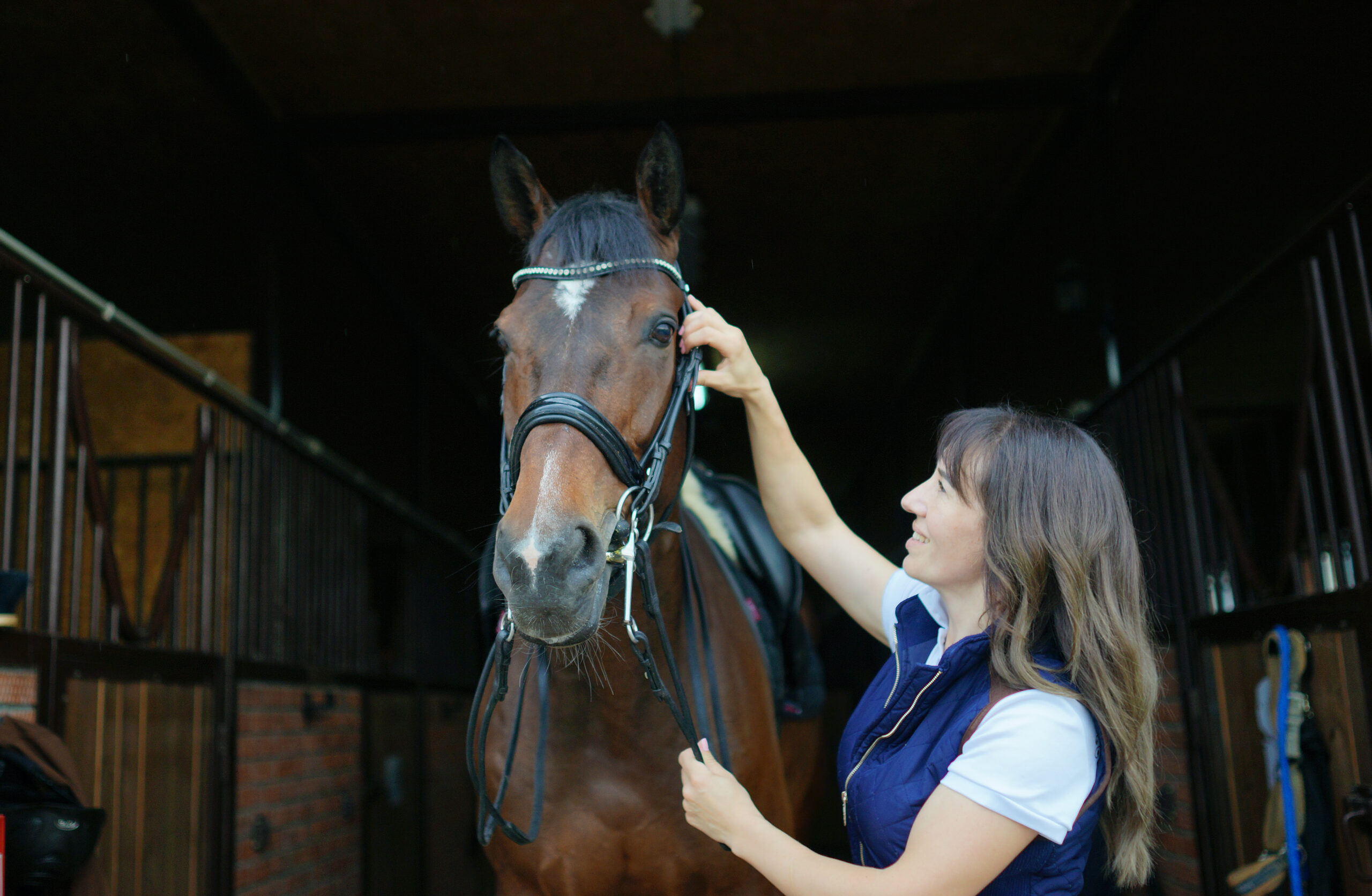 Woman putting on bridle on a horse. Equestrian background. Stable life. On a farm