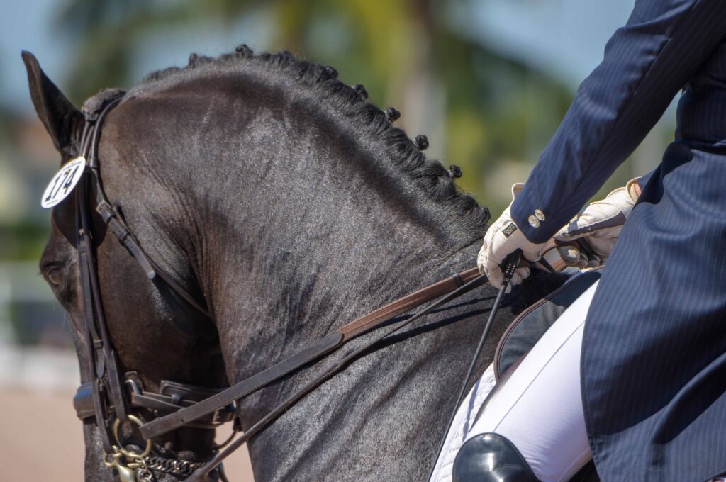 Dressage Show Nerves: Why Saying ‘Just Be Confident’ Doesn’t Help