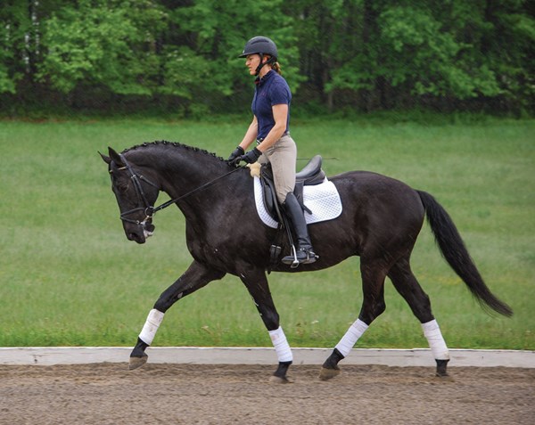 Building Skills for First Level Dressage
