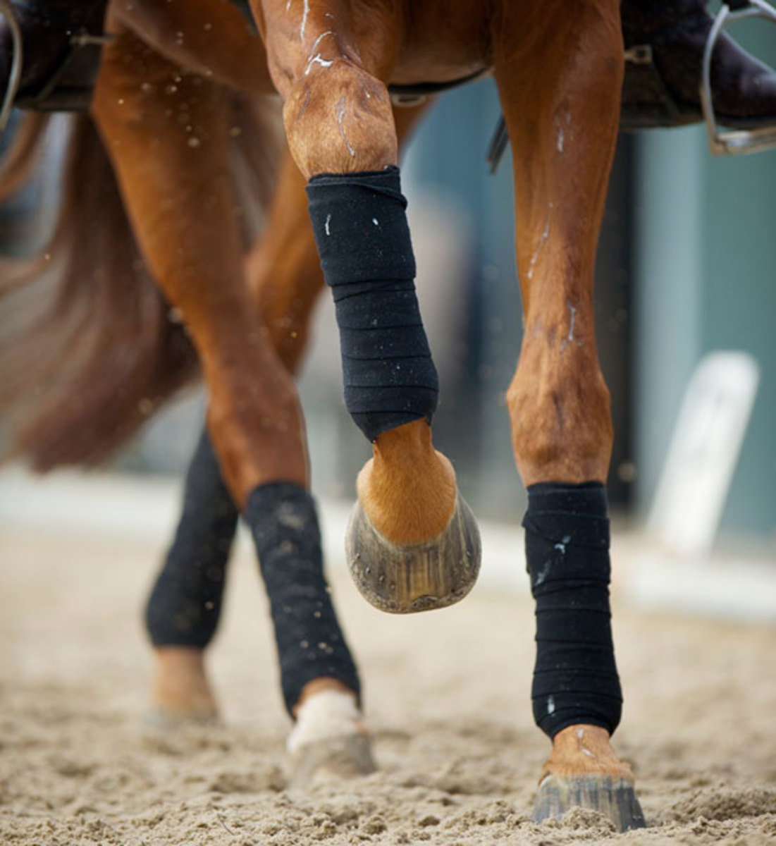 How To Teach Your Horse to Pick Up the Correct Canter Lead